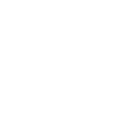 Global Icon